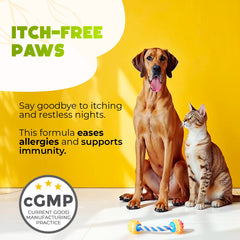 ZENO Dog Allergy Chews paw relief image signals faster onset and paw-itch relief potential.