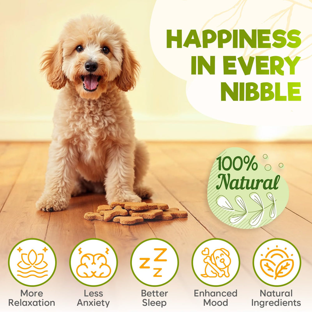 ZENO dog calming chews beef treats closeup highlighting tasty, easy-to-administer anxiety relief.