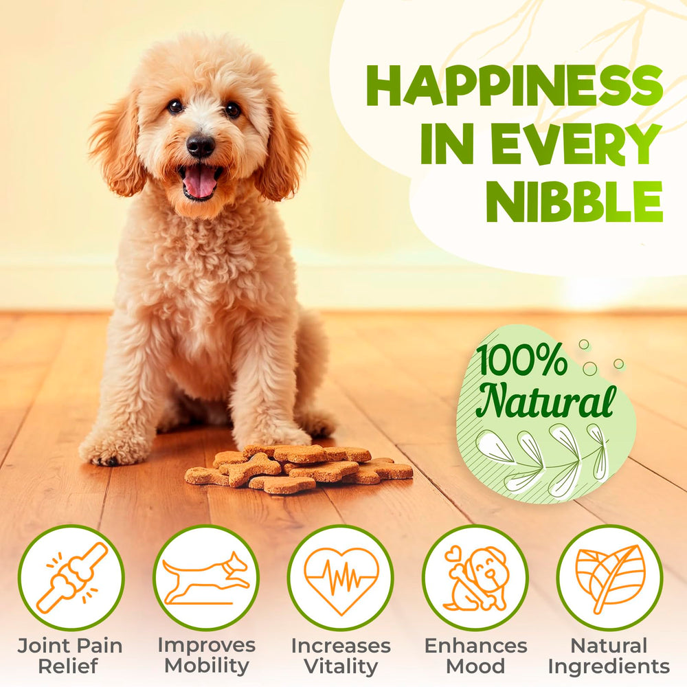 ZENO hip and joint chews with MSM and green-lipped mussel ingredients