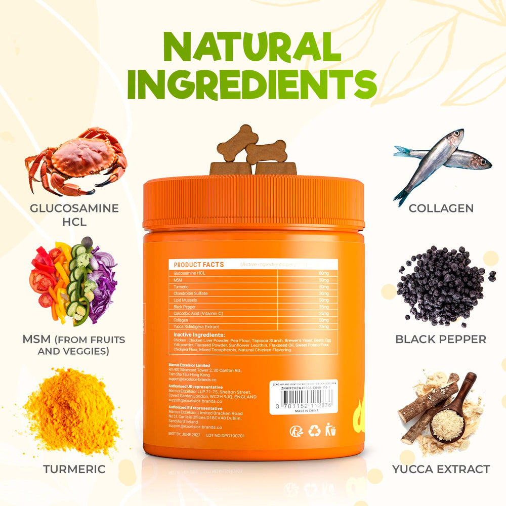 ZENO green-lipped mussel ingredient highlight supports dog joint comfort