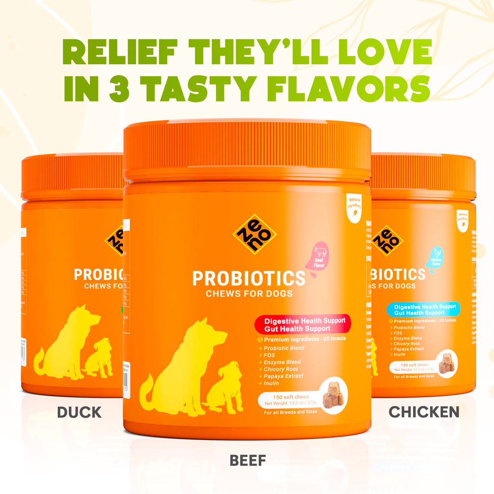 ZENO Probiotics for Dogs Chews bottle with label fast-acting gut support.