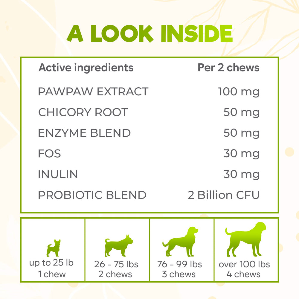 ZENO chews show Pawpaw extract and chicory root supporting gut health.