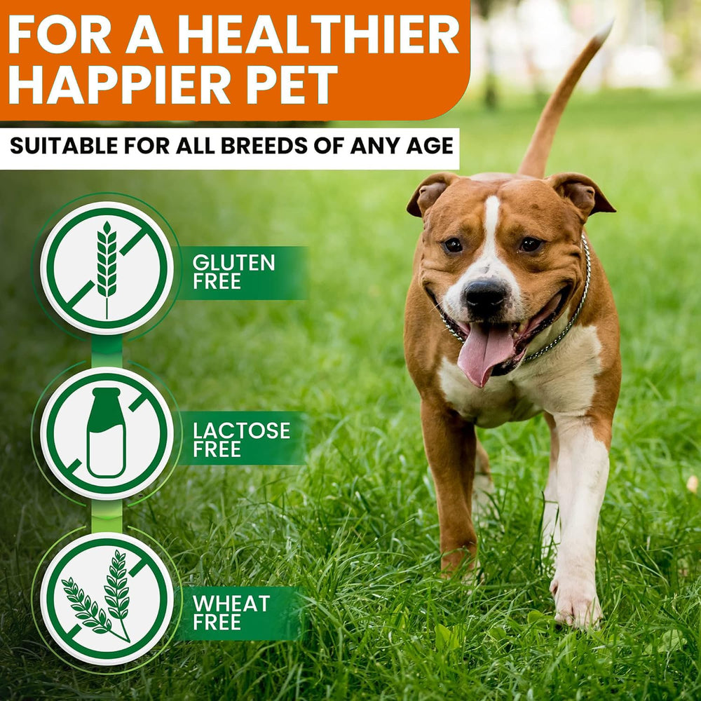 Zenpaws Turmeric for Dogs 180-count bottle for joint support and mobility.