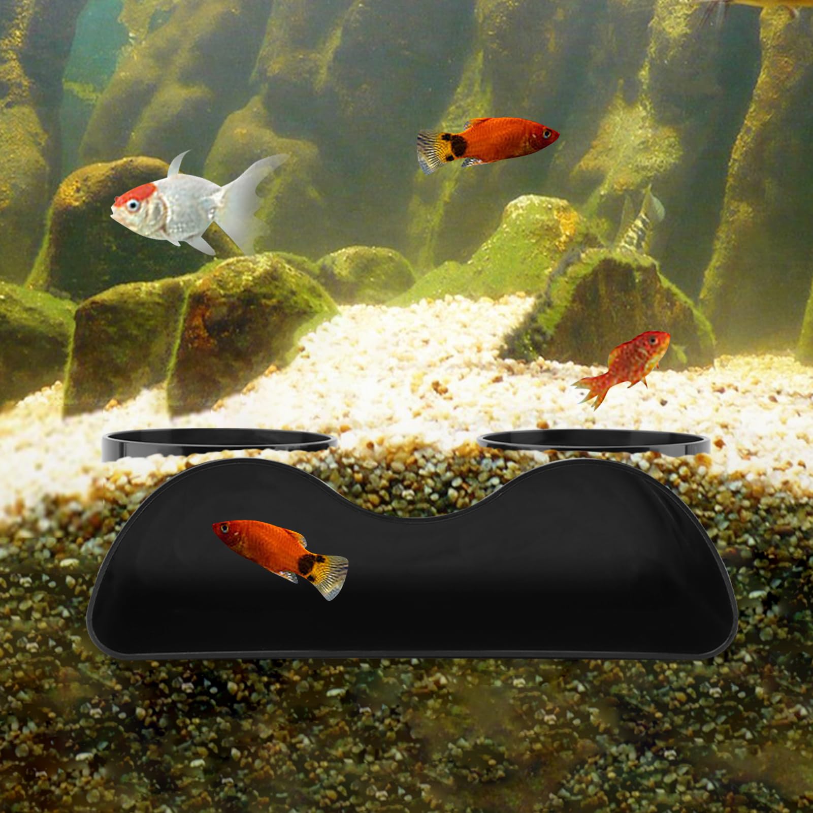 Zenquark underground tunnel cave viewing provides shelter and easy viewing for fish.
