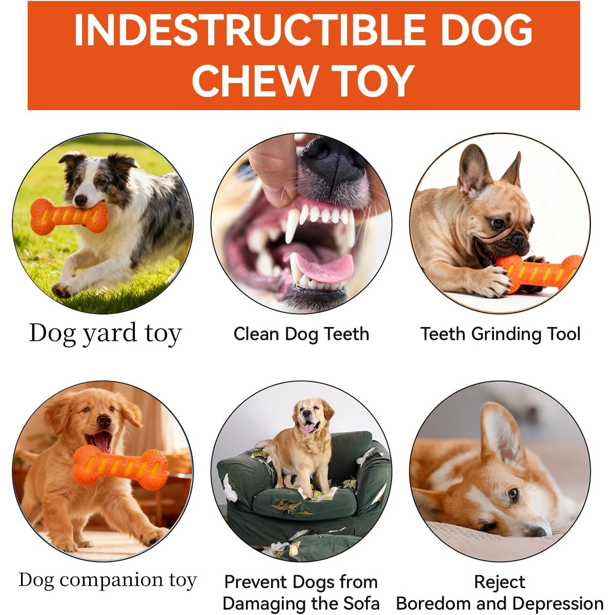 Zensrij aggressive-chewer durable toy endures tough bites during play