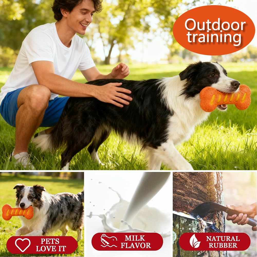 Zensrij medium large bone toy designed for dogs 8-30 kg with sturdy build.