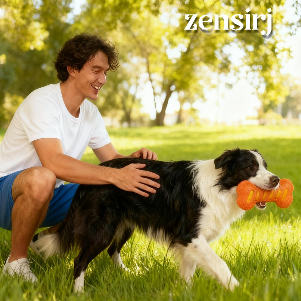 Zensrij safe rubber dog toy uses BPA-free material for gentle dental-friendly chewing