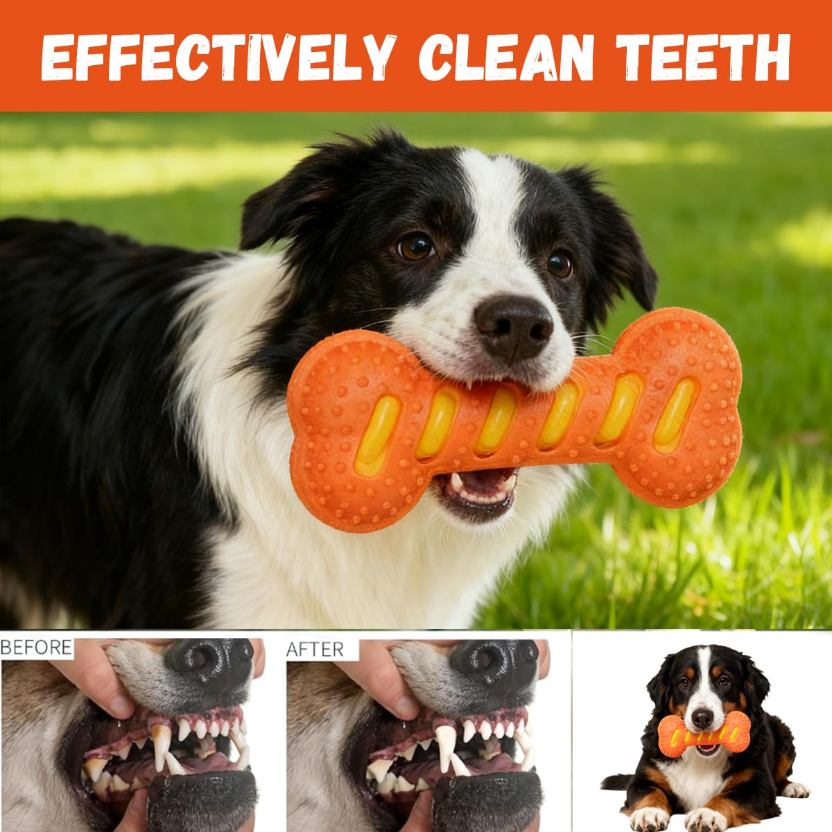 Zensrij textured squeak design keeps dogs engaged with chewing sounds