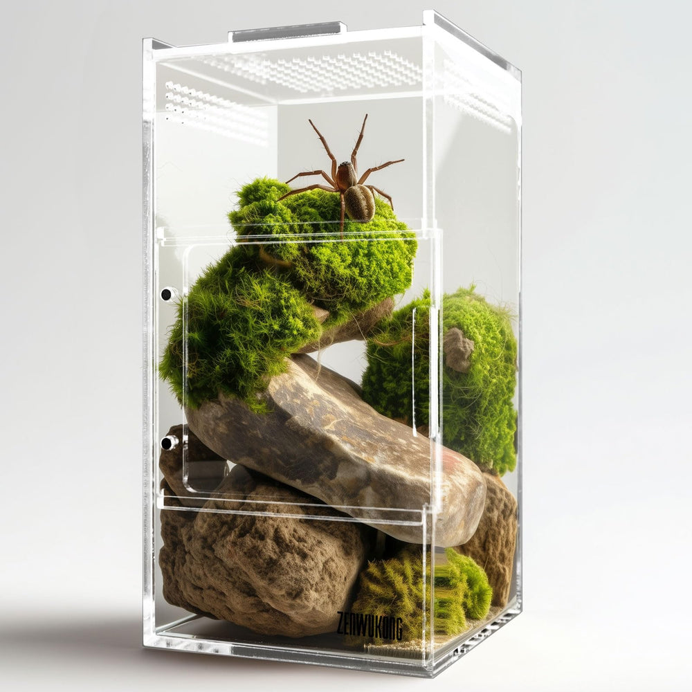 ZENWUKONG Acrylic tank offers near-invisible viewing with bright visibility.