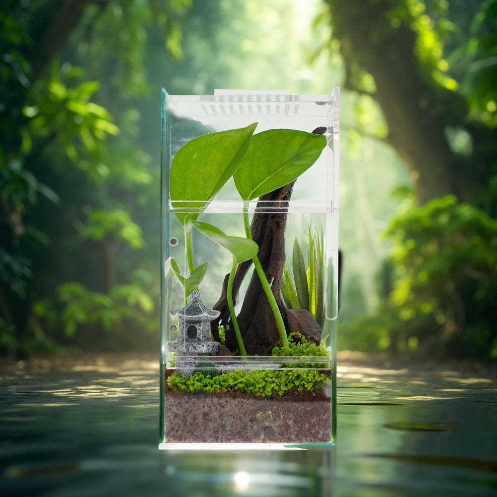 ZENWUKONG Compact, portable enclosure offers versatile use on shelves, desks, or counters.