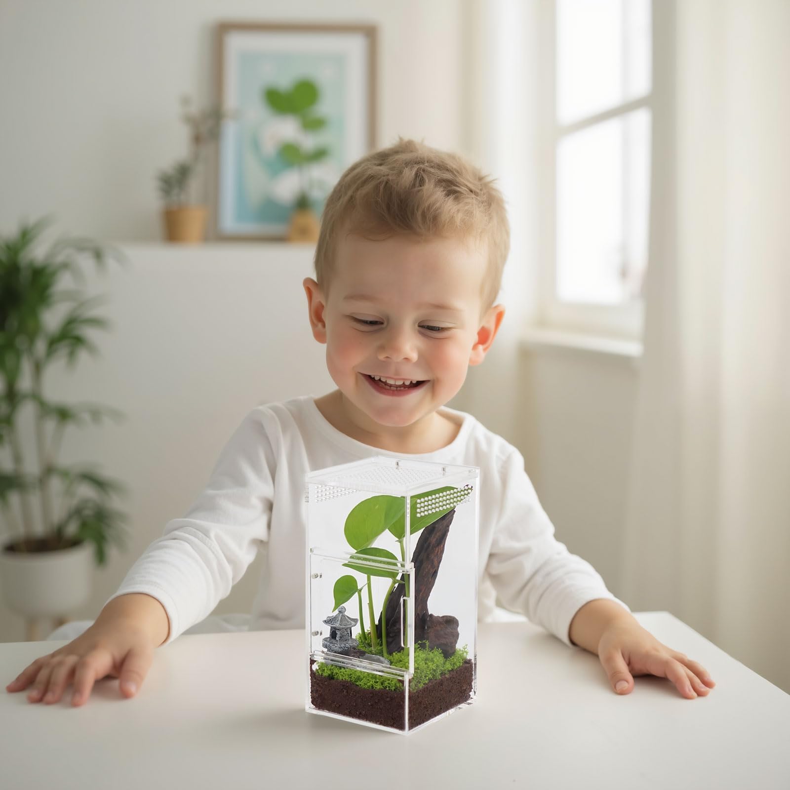 ZENWUKONG Humidity-friendly design supports tropical habitat ideas and stable microclimates.