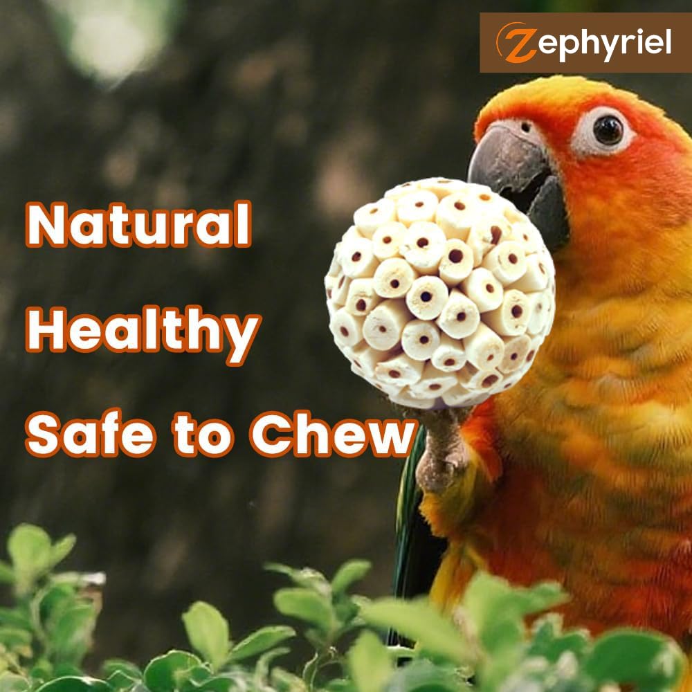 Zephyriel Bird Playtime Enrichment Setup illustrates versatile cage entertainment.