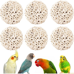 Zephyriel Sola Ball Pack 6pcs foraging toy delivers engaging enrichment.