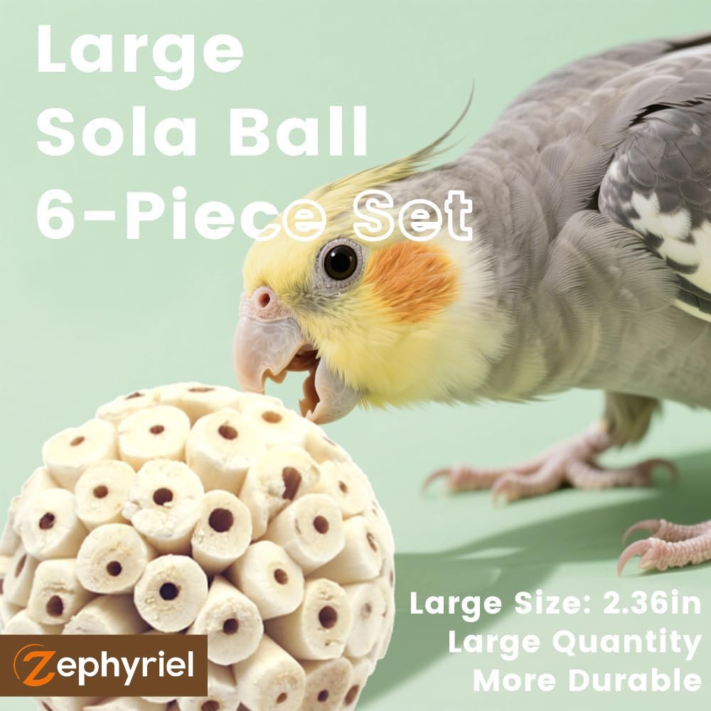 Zephyriel Foraging Toy Inside Cage provides bird enrichment during play.