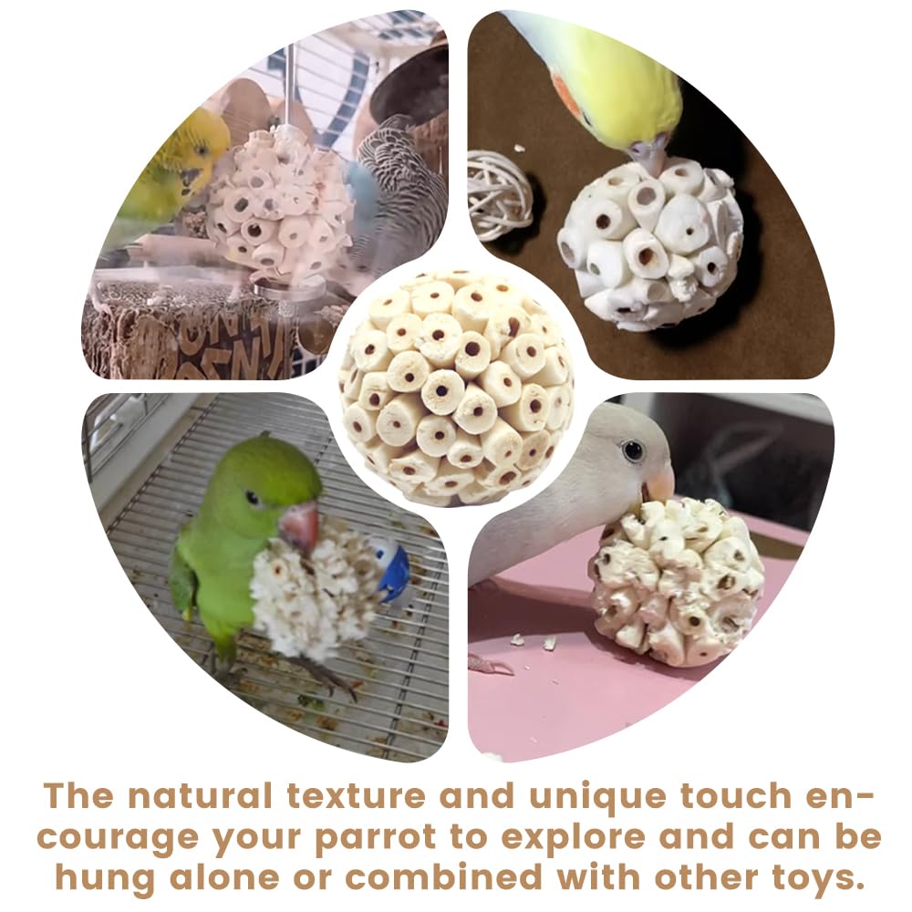 Zephyriel Lightweight Durable Parrot Toy enables easy grasp and play.