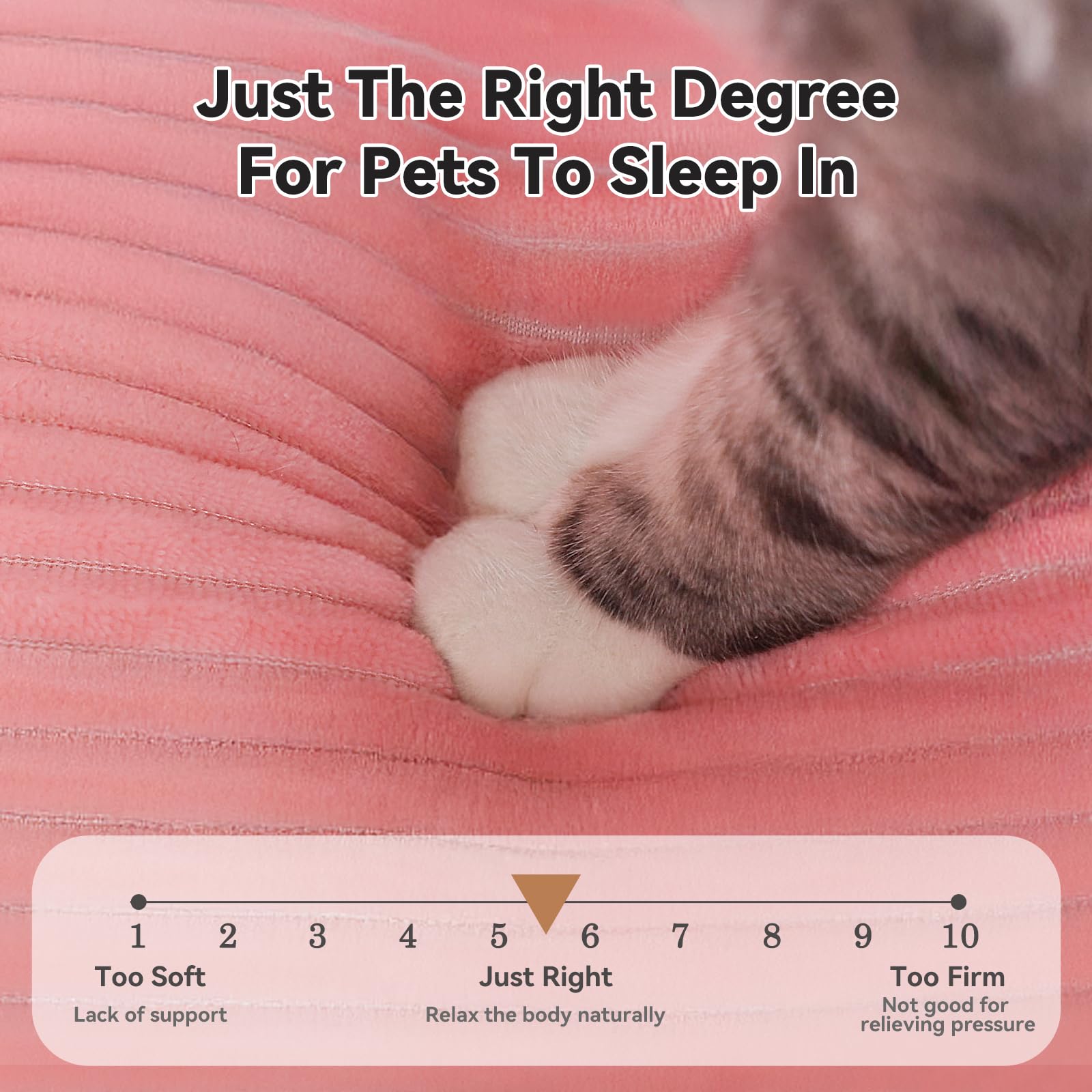 Zerbuger bed machine-washable design enables easy cleaning after messes