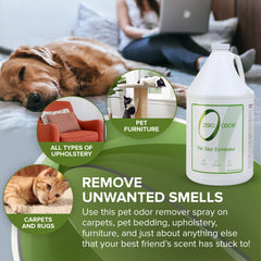 Zero Odor bed odor elimination highlights a bedroom free of smells after spray.