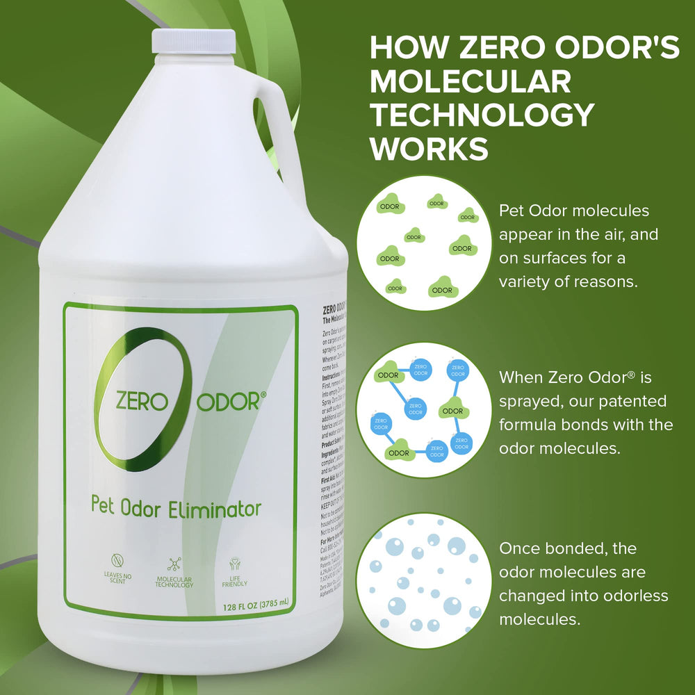 Zero Odor car interior odor elimination demonstrates a fresh car interior after use.