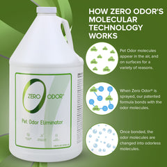 Zero Odor car interior odor elimination demonstrates a fresh car interior after use.