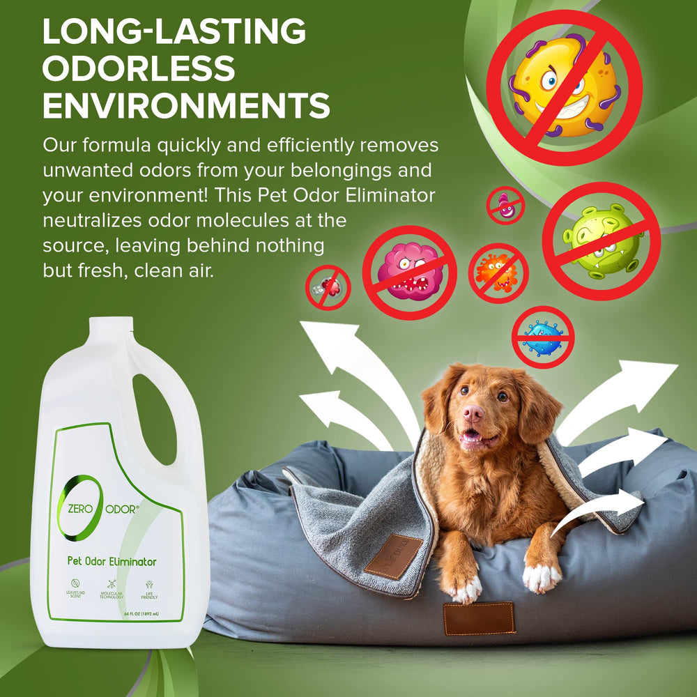 Zero Odor couch fabric refresh shows lasting odor neutralization for living rooms.