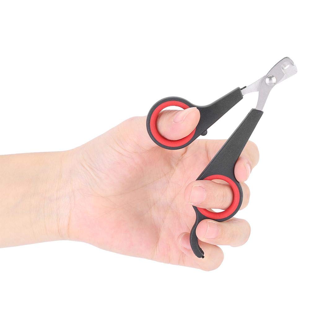 Zerodis Bird nail trimmer precision cut for tidy nails