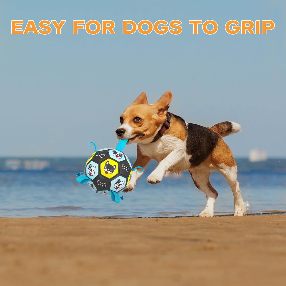 ZestPulse interactive-play-area focuses on engaging activity and social bonding