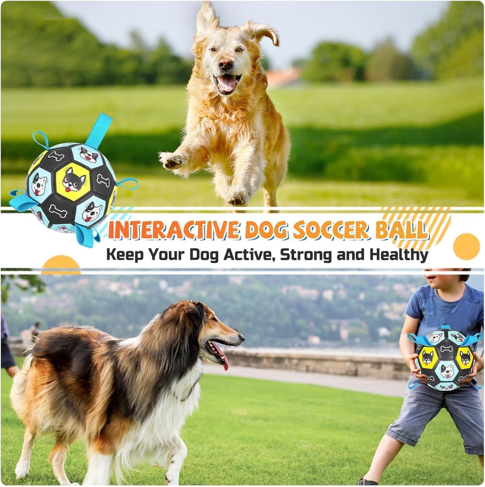 ZestPulse dog ball water play for buoyant pool or lake fun.