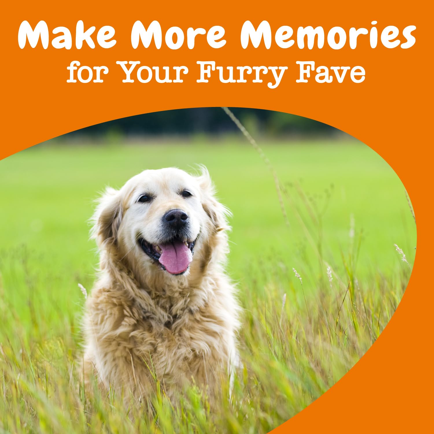 Zesty Paws Advanced Cognition AlphaPrime UltraCog closeup hints memory and learning support