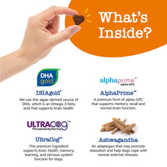 Zesty Paws Advanced Cognition packaging front clearly shows DHA and Ashwagandha benefits