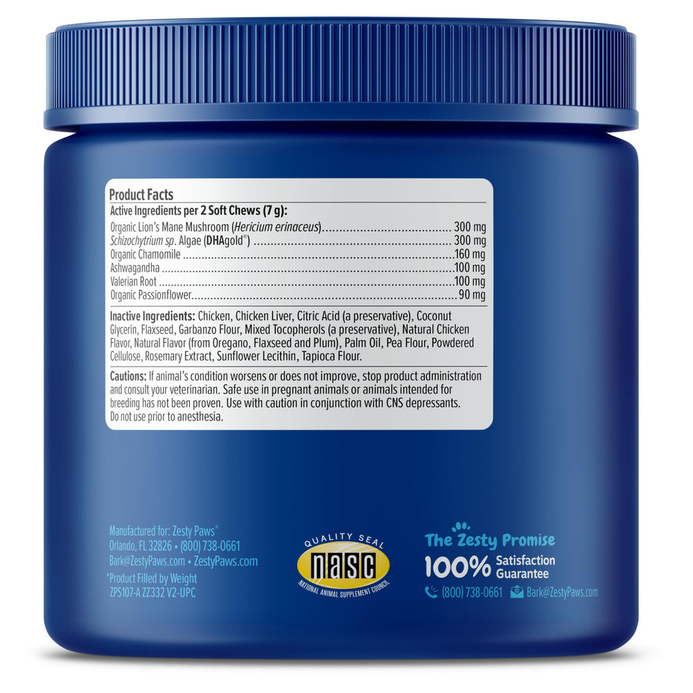 Zesty Paws brain health concept highlighting cognitive support for dogs.