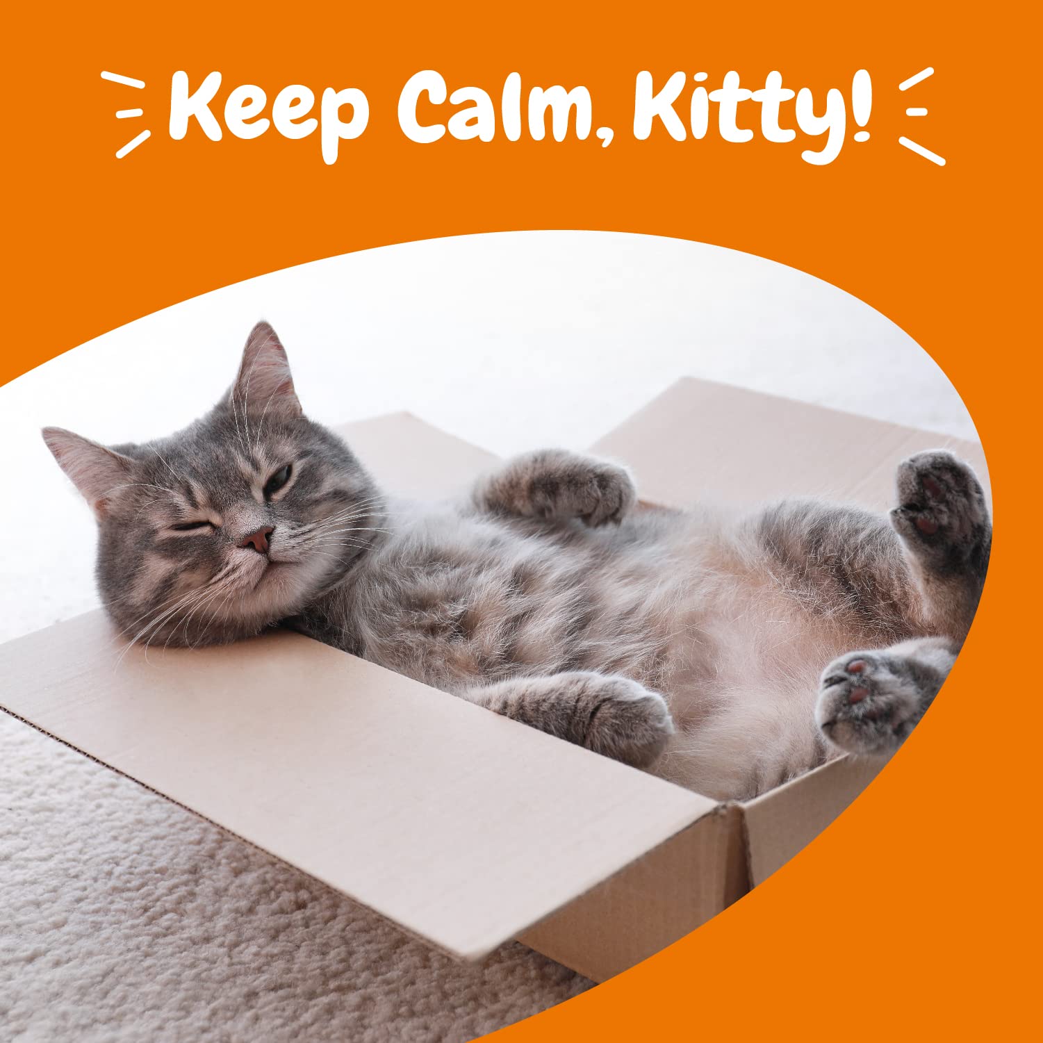 Zesty Paws Calming Chews, uso diario para estrés normal en casa.