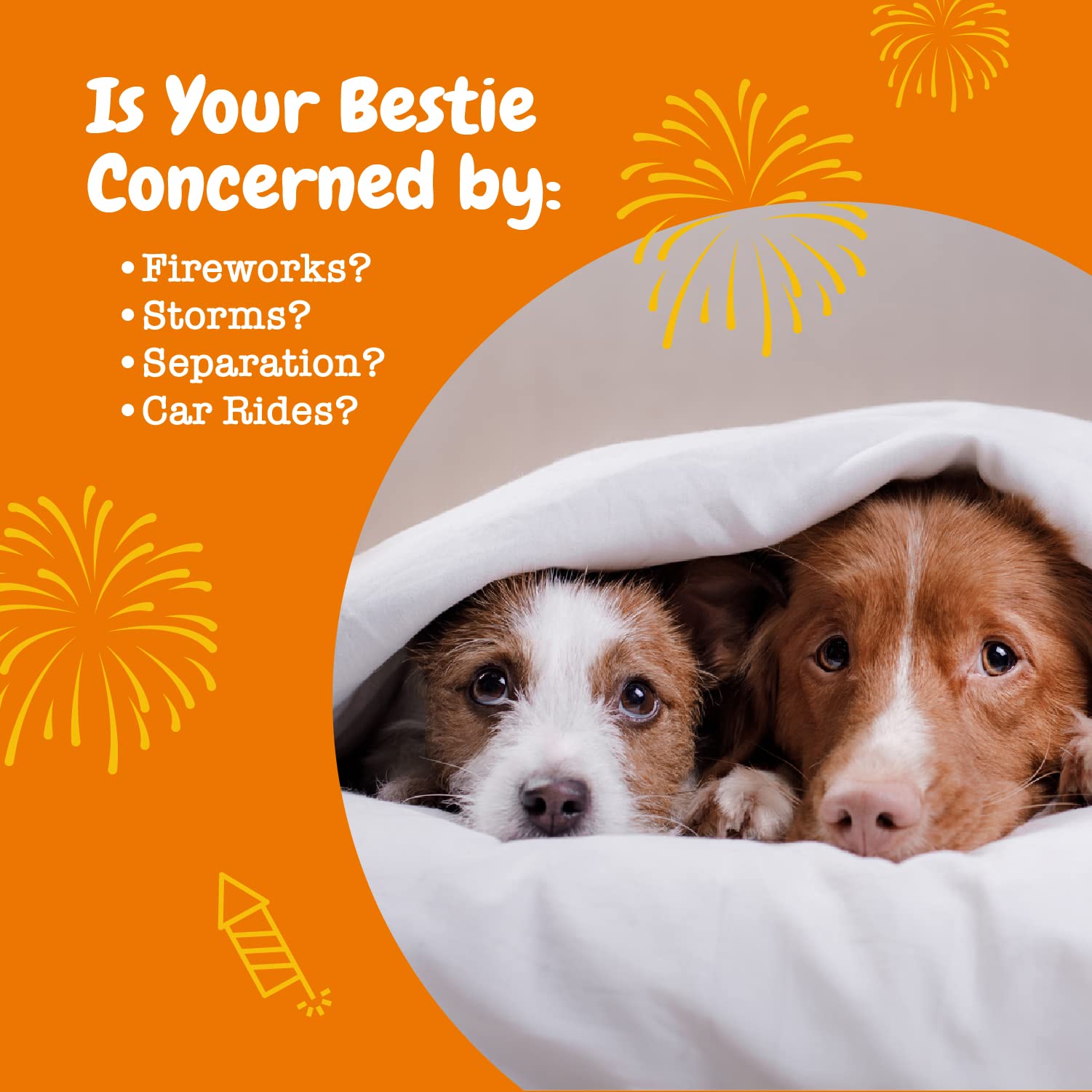 Zesty Paws Calming Chews Suntheanine label close-up