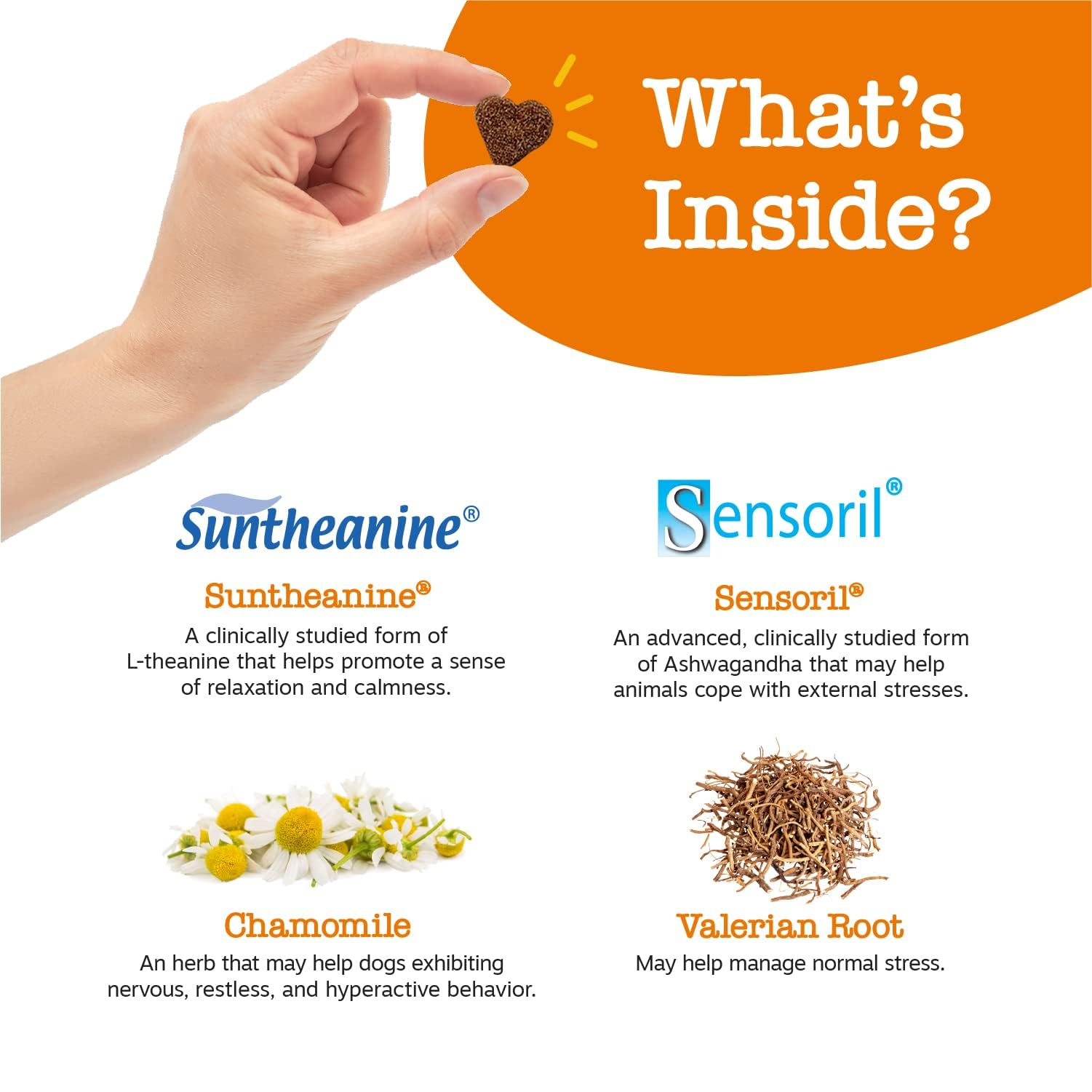 Zesty Paws Calming Chews label highlights Suntheanine for relaxed behavior.