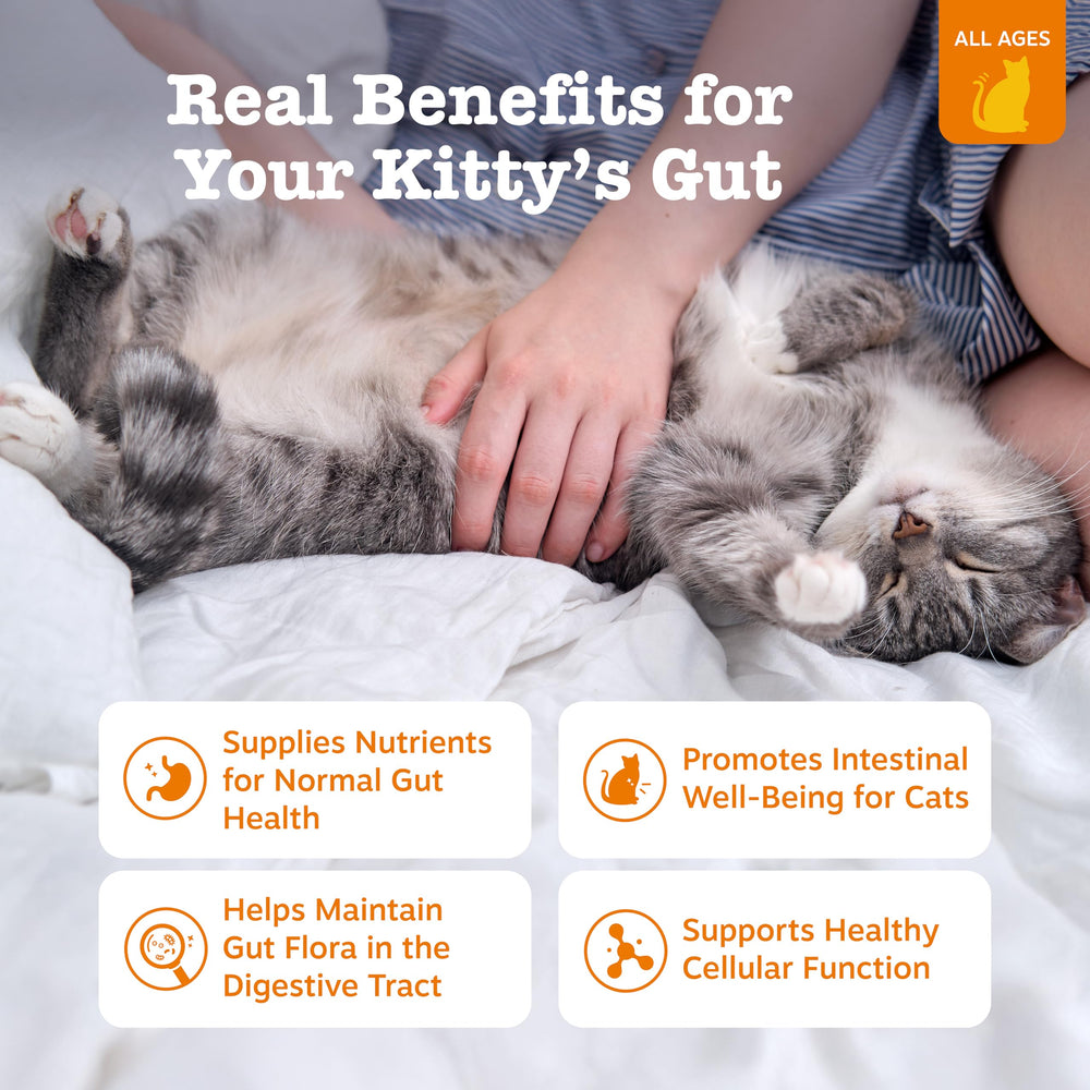 Zesty Paws Cat Mousse Squeezies tube close-up highlighting creamy texture and flavorful chicken