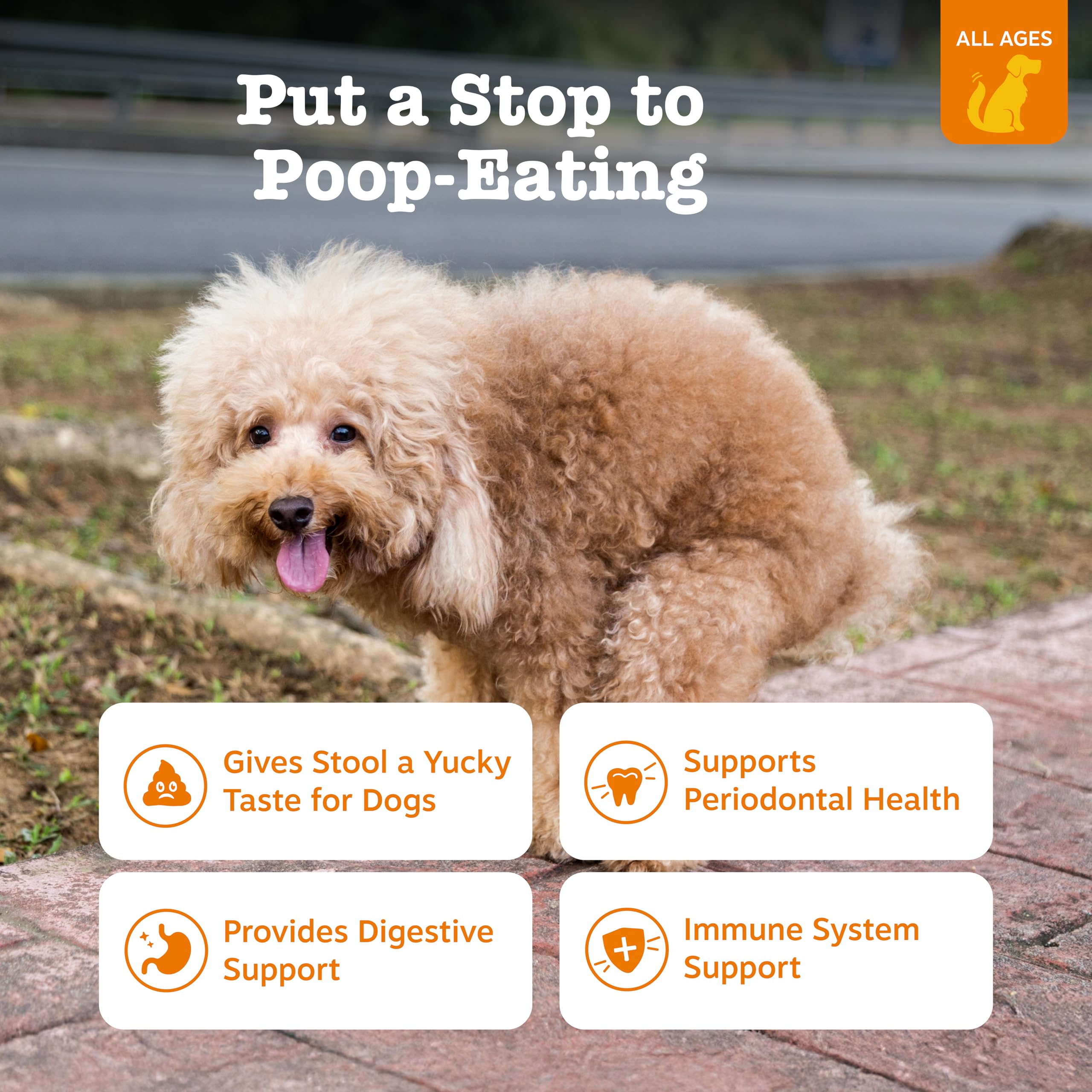 Zesty Paws Chew No Poo Bites dog stool-deterrent scene showing behavior management