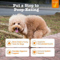 Zesty Paws Chew No Poo Bites dog snack served illustrating deterrent benefits.