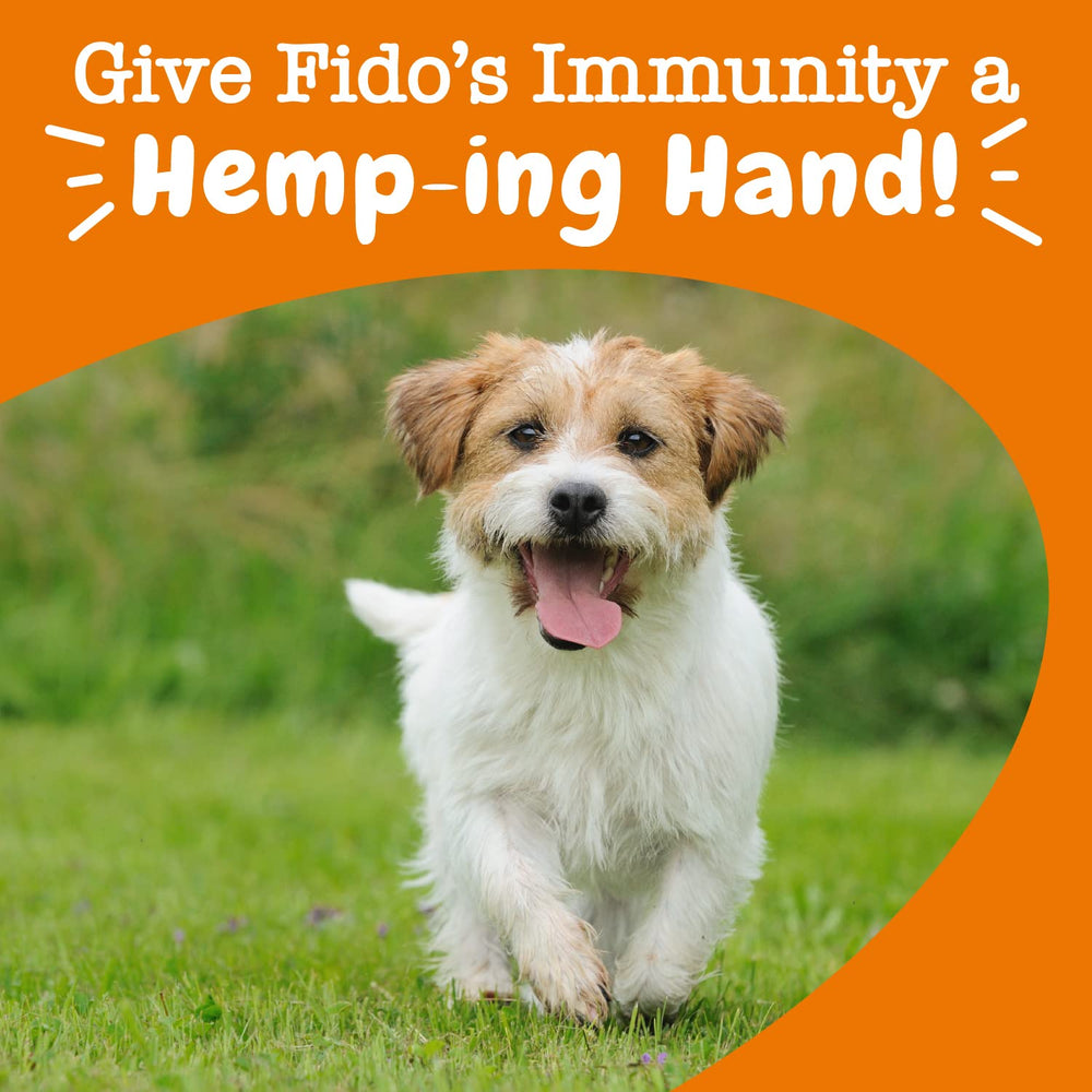 Zesty Paws cod liver fish oil soft chews signaling omega-3 benefits.