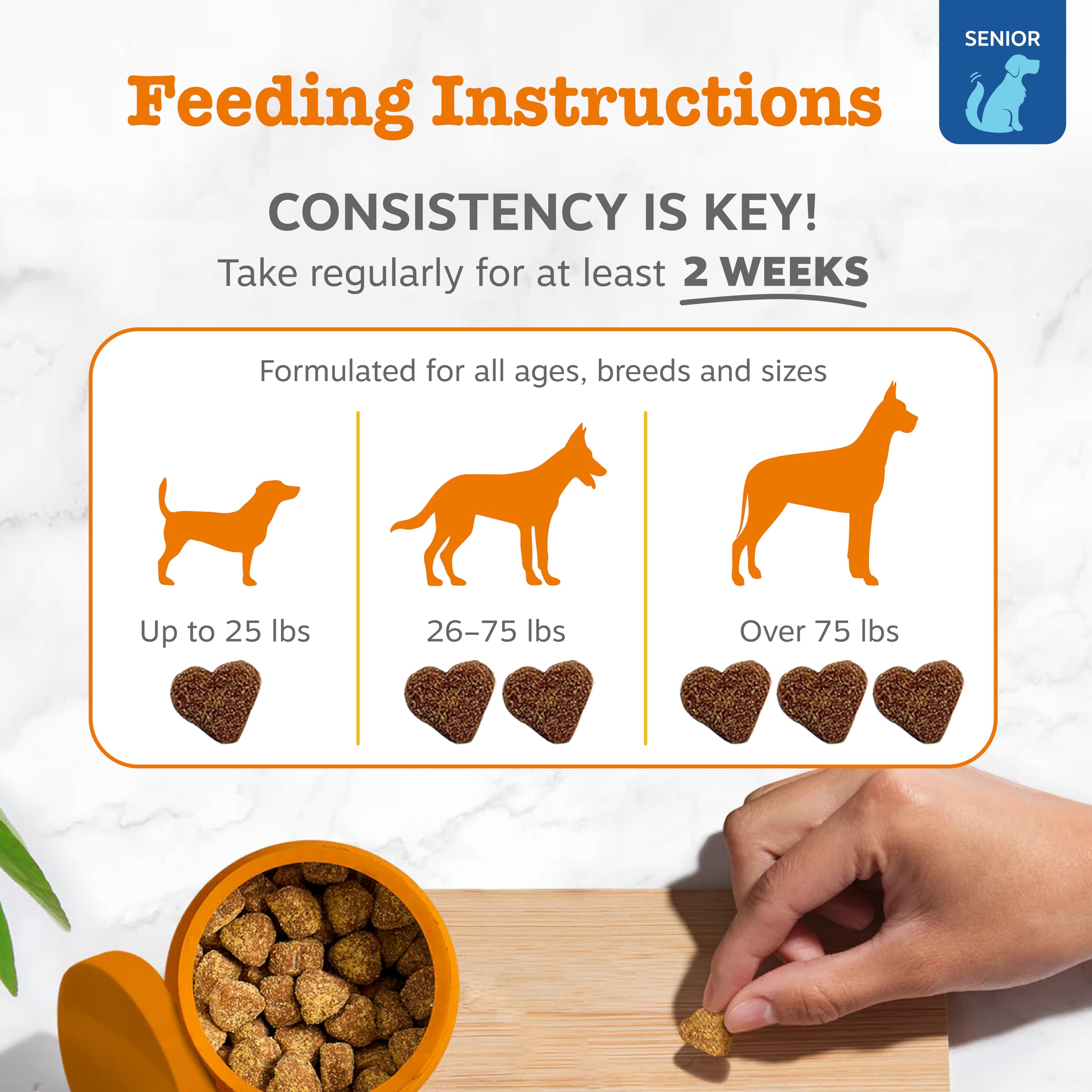 Zesty Paws colostrum and astragalus blend image hints holistic immune and skin care