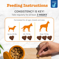 Zesty Paws colostrum and astragalus blend image hints holistic immune and skin care