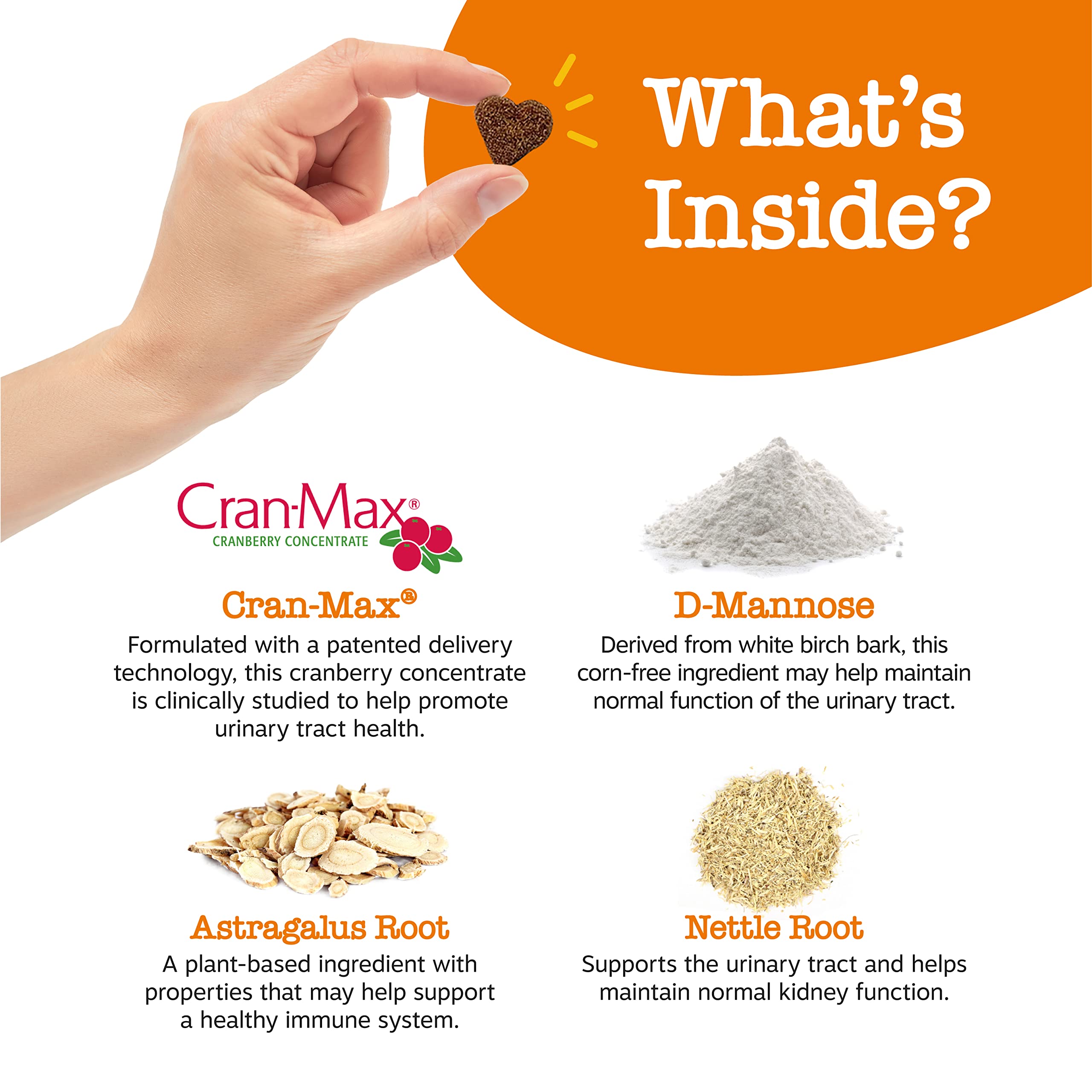 Zesty Paws Cranberry supplement dogs bag front emphasizes cranberry-based urinary support.