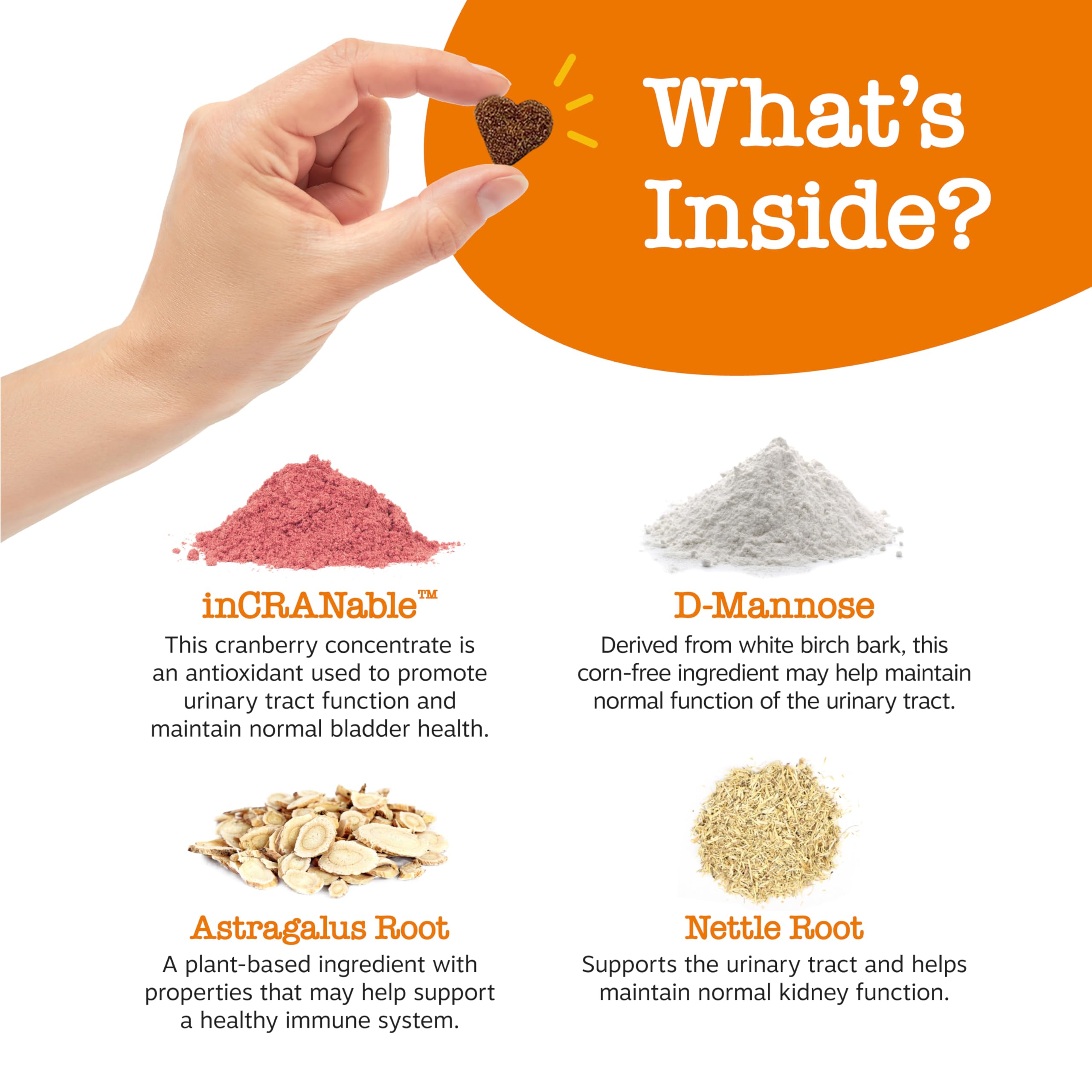 Zesty Paws Cranberry Supplement label closeup InCRANable concentrate improves urinary function.