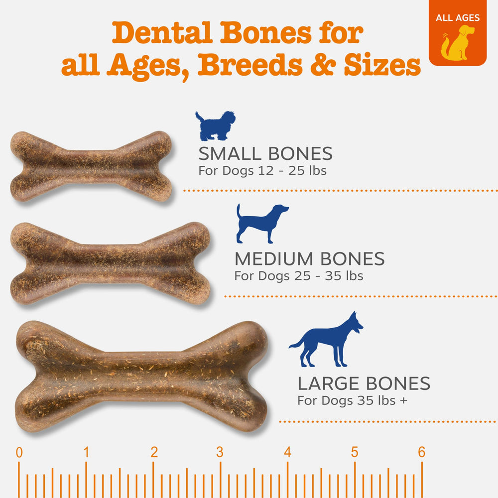 Zesty Paws Dental Bones dog chewing-action shot highlights enjoyable routine and joint support.