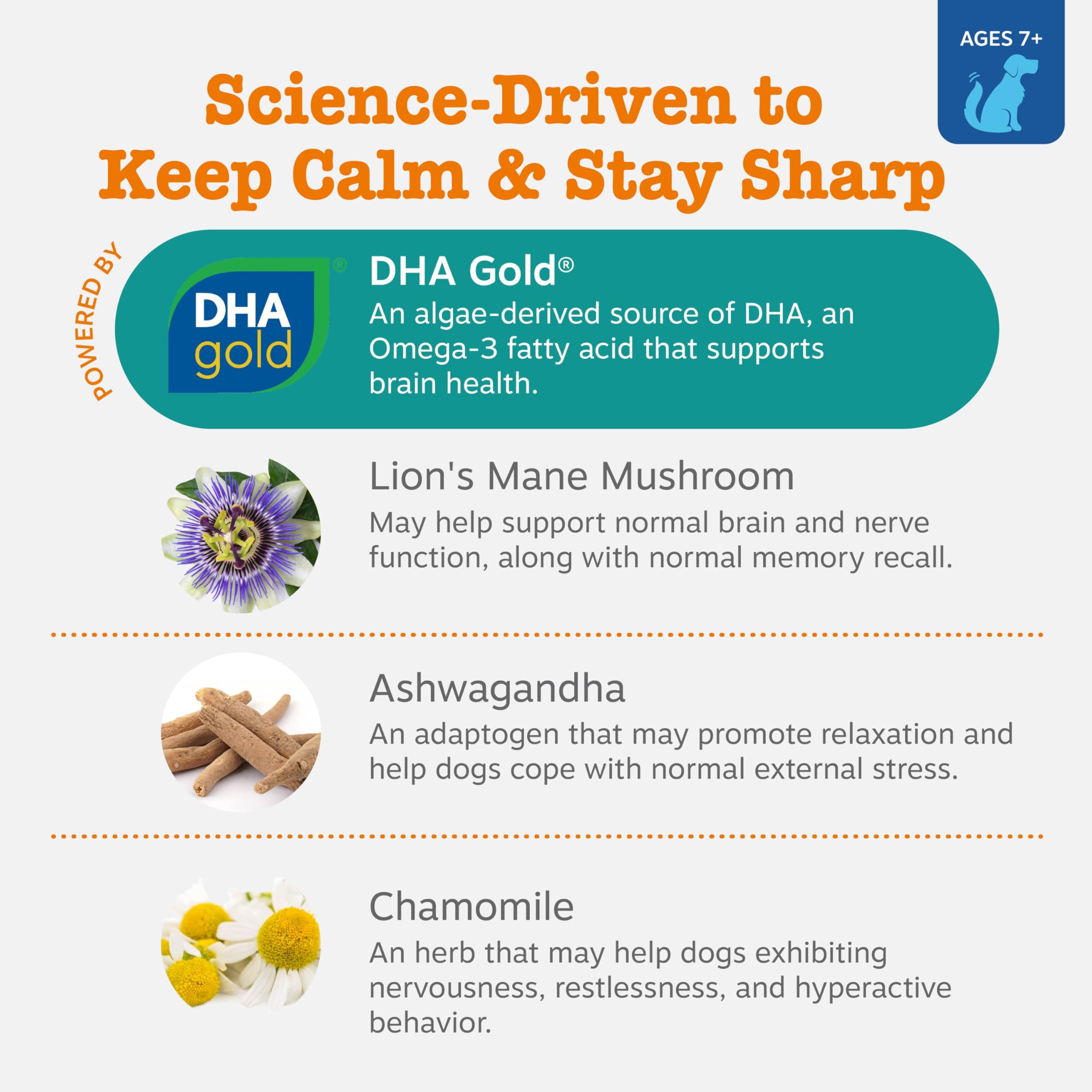 Zesty Paws DHA-rich Lion's Mane blend signals brain health support for seniors.