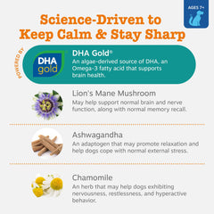 Zesty Paws DHA-rich Lion's Mane blend signals brain health support for seniors.