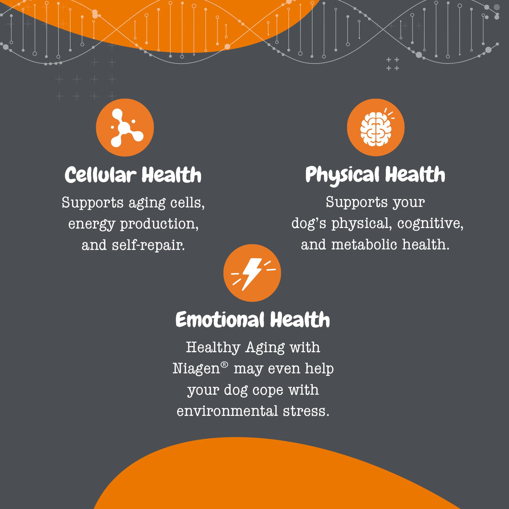 Zesty Paws NAD+ supports heart energy for active dogs