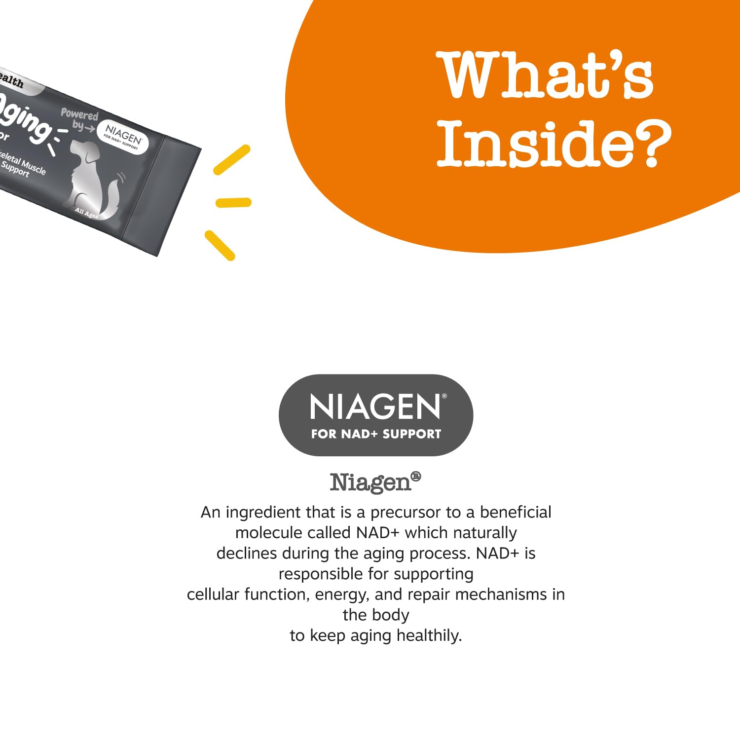 Mixing Zesty Paws NAD+ sachet into dog food for daily use