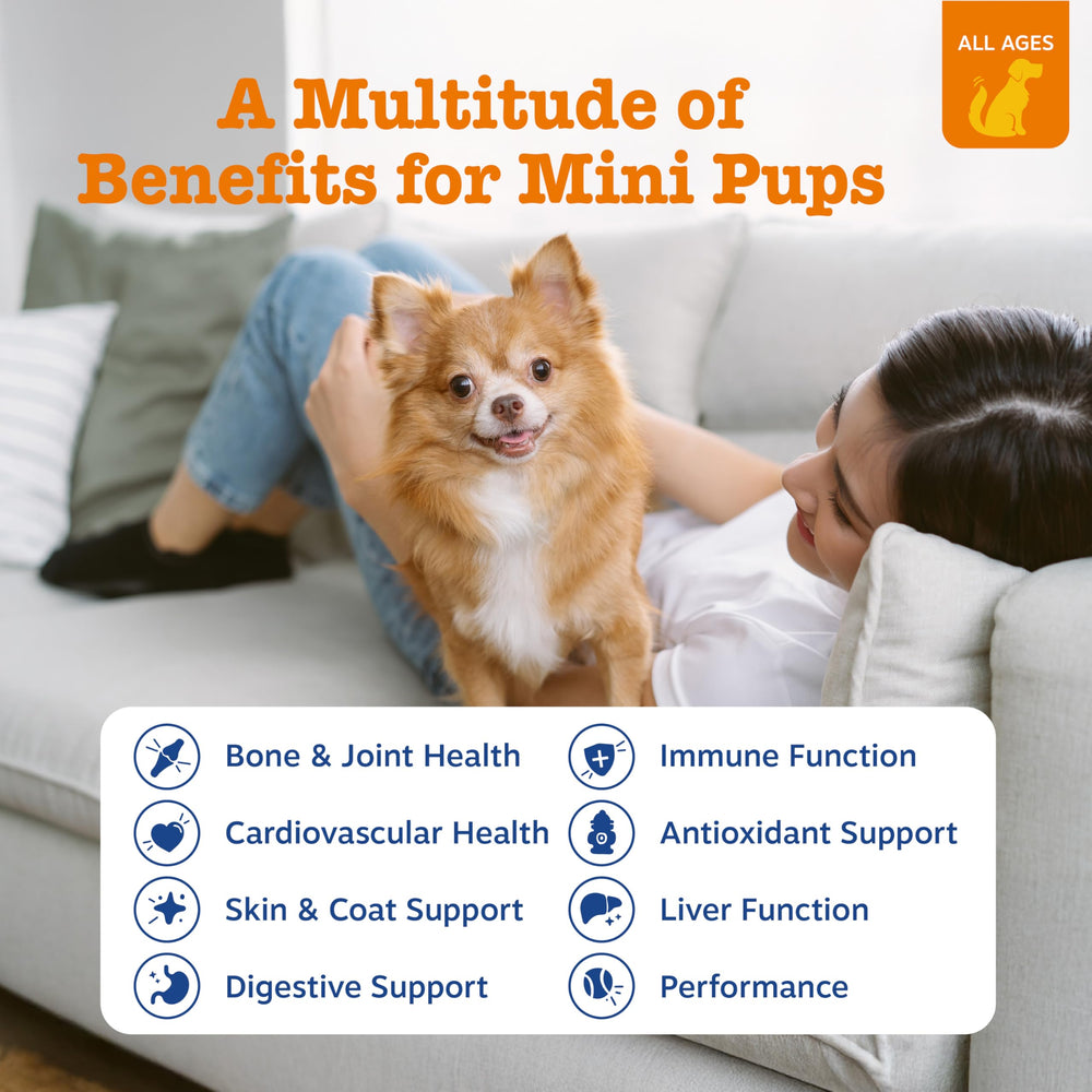 Zesty Paws multivitamin bottle open with visible chews for easy dosing