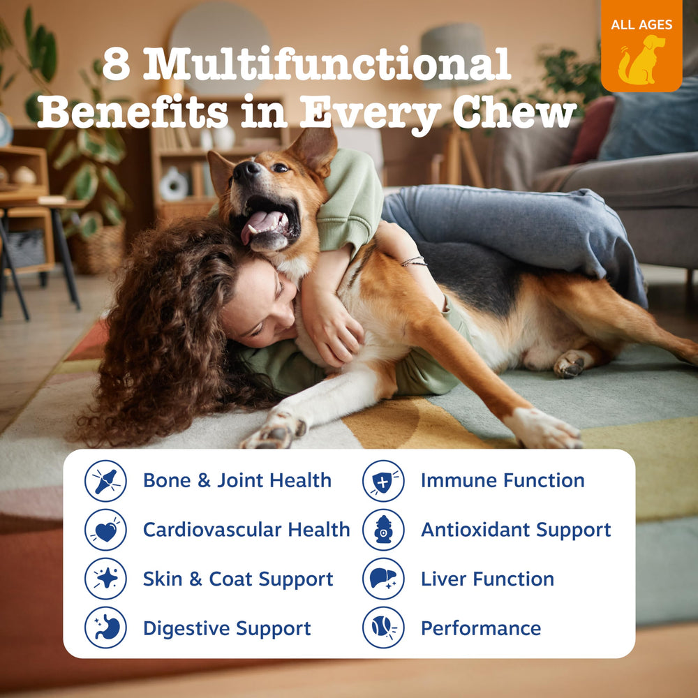 Zesty Paws chewable bites close-up show tasty formula for skin, coat, and gut health.