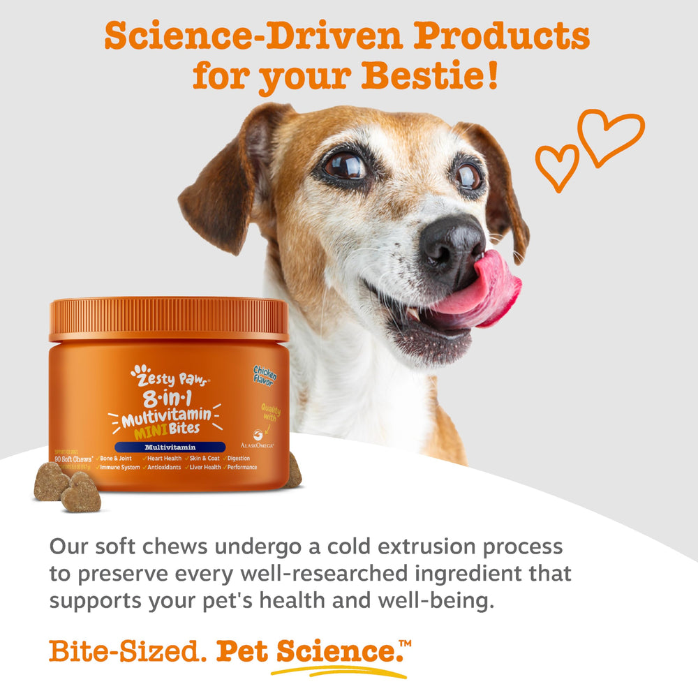 Zesty Paws immune health chews featuring immune support ingredients