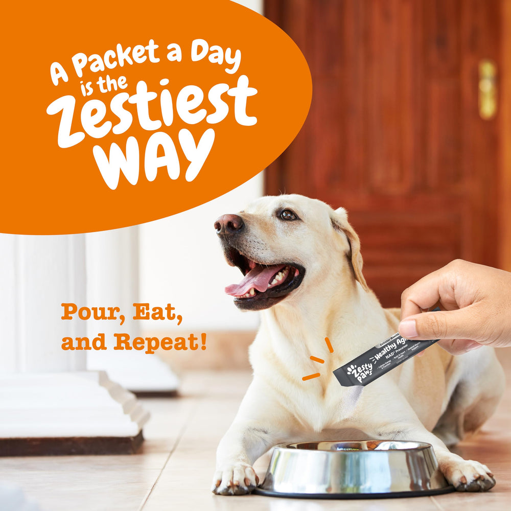 Dog enjoying muscle recovery after activity